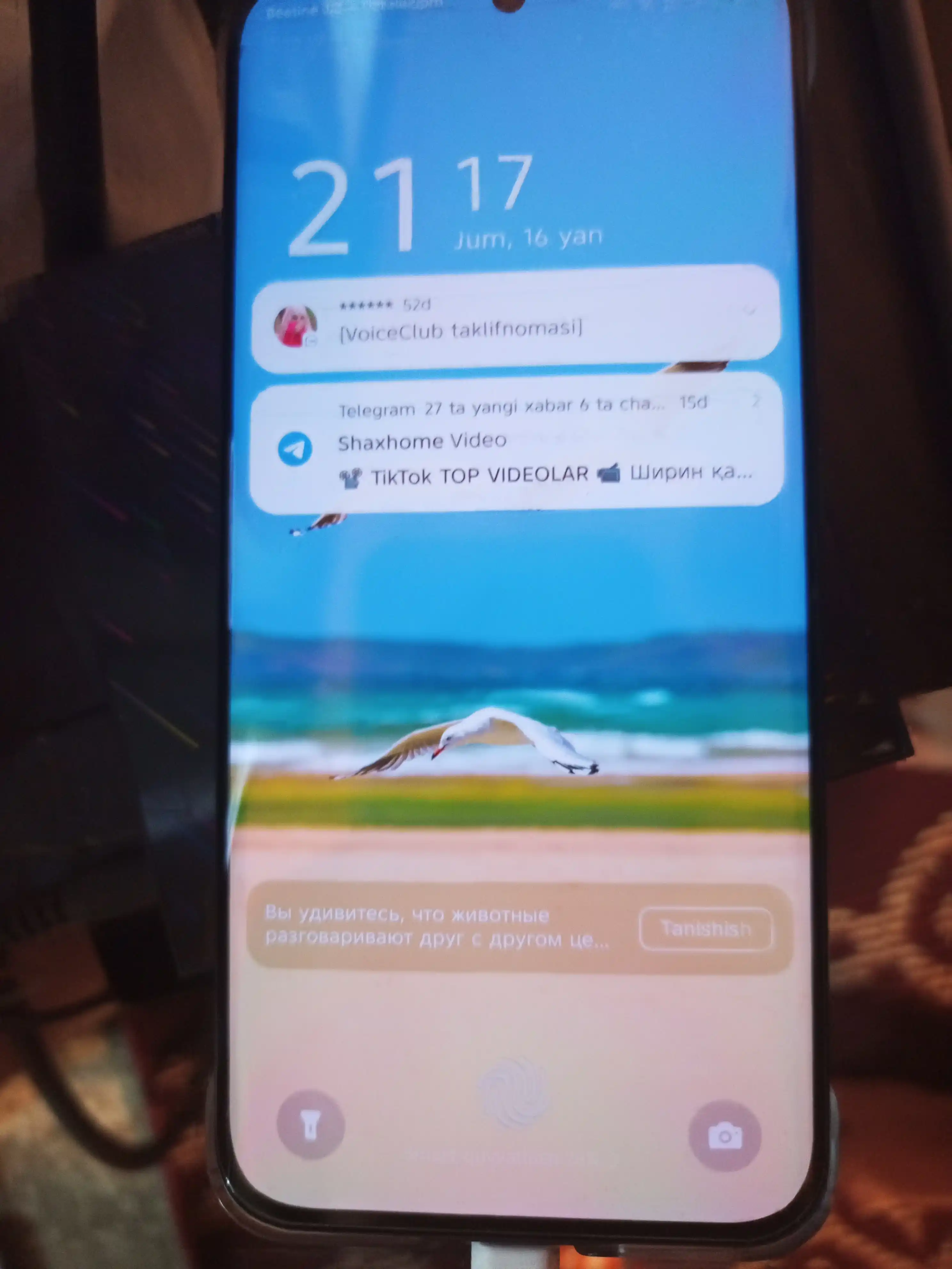 Смартфон Infinix HOT 60 Pro+, 8/256Гб, изогнутый 3D AMOLED 144 Гц, 50 МП, 5160 мА/ч, 45 Вт