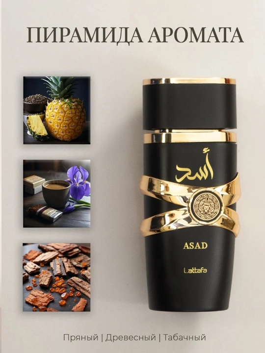 Yara, Asad atir, parfyum, sharqona xushbo'y hid, 8-mart sovg'a uzoq muddatli atir, 100 ml