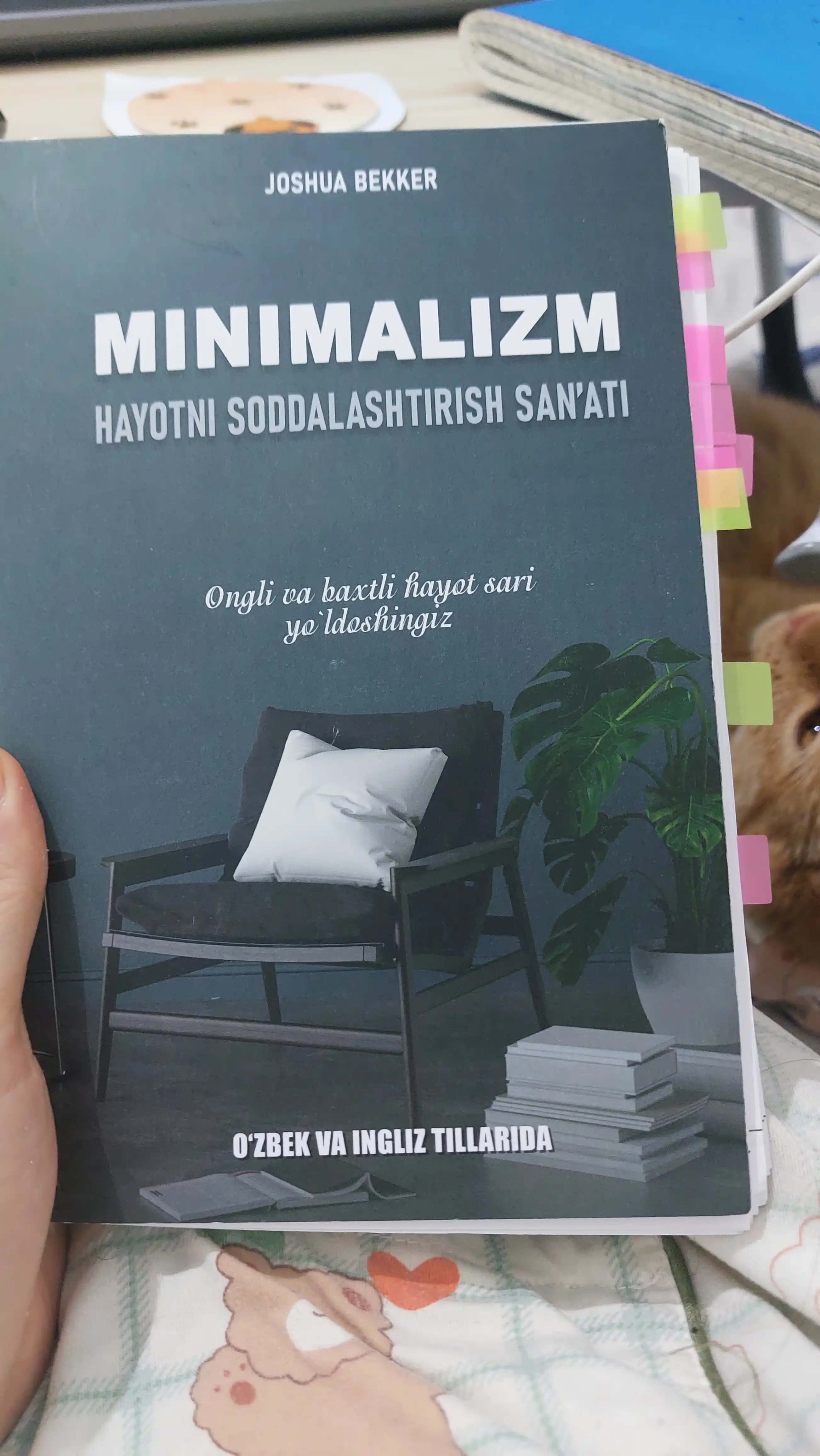 Joshua Bekker - Minimalizm - hayotni soddalashtirish san'ati