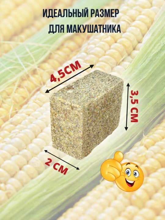 POSEYDON uni, kungaboqar keki