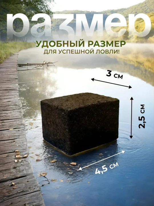 POSEYDON uni, kungaboqar keki