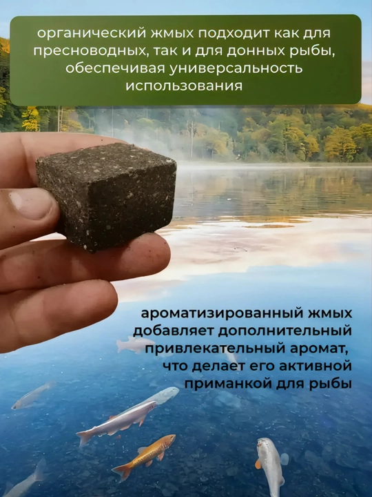 POSEYDON uni, kungaboqar keki