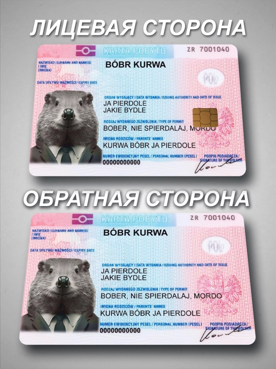 Наклейки на пластиковые карты