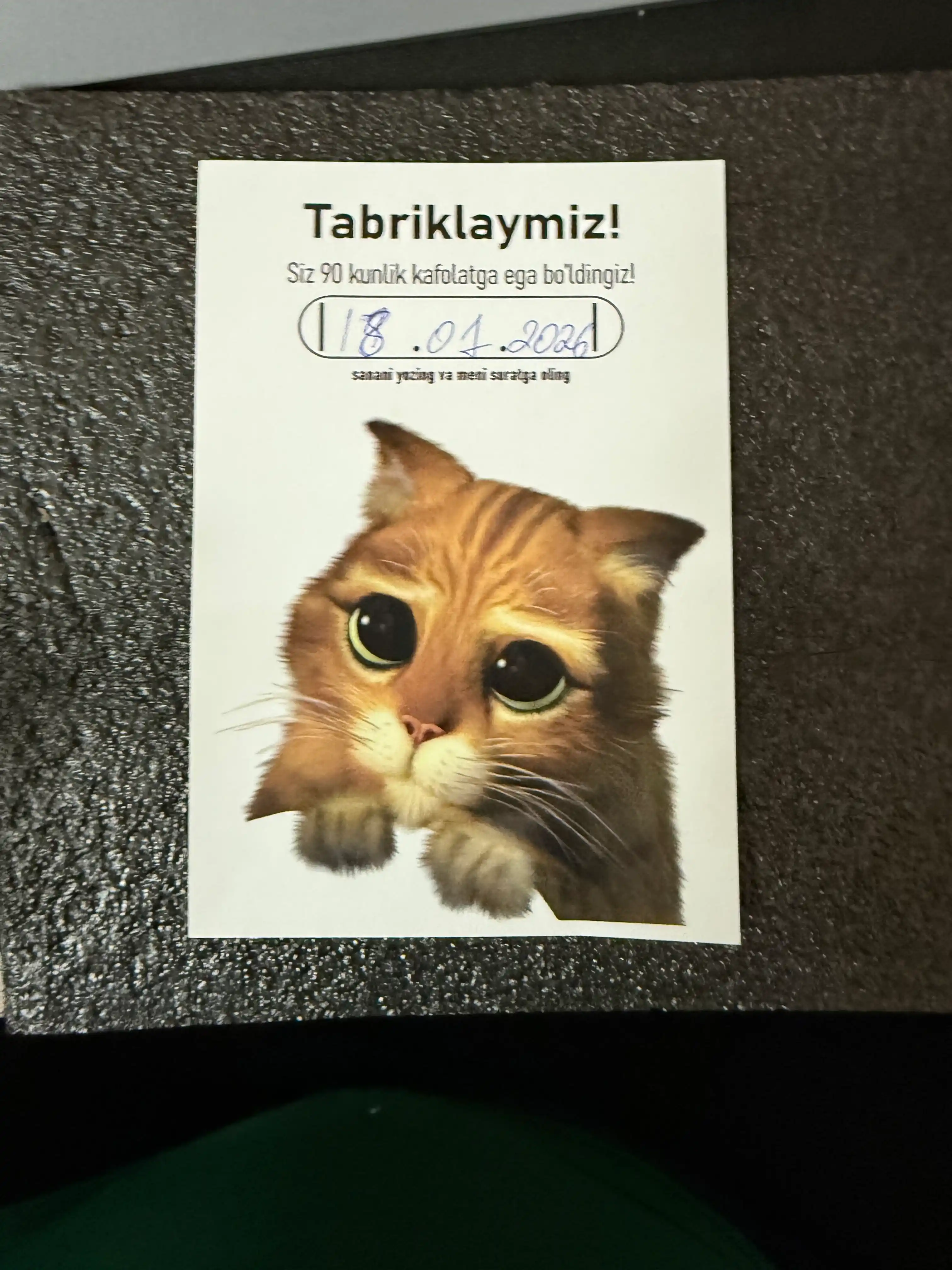 AULA SC580 kompyuter uchun simsiz sichqoncha, akkumulyatorli