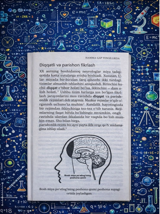 Raqamlar uchun yaralgan idrok, Barbara Oukli
