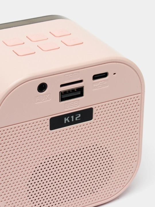 Karaoke uchun 2 ta mikrofonli portativ Bluetooth kolonka