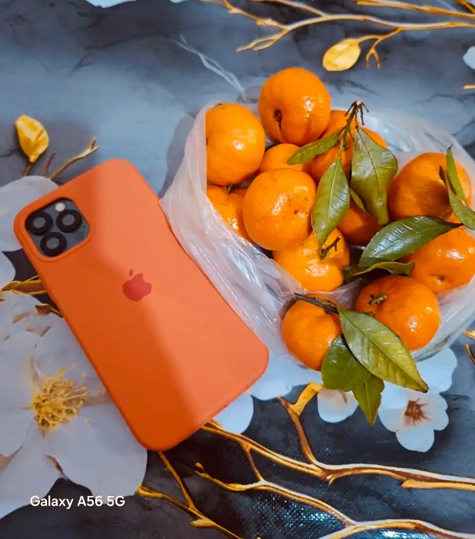 Силиконовый чехол для Phone 13 Pro, Pro Max, 14 Pro, Pro Max, 15 Pro, Pro Max 16