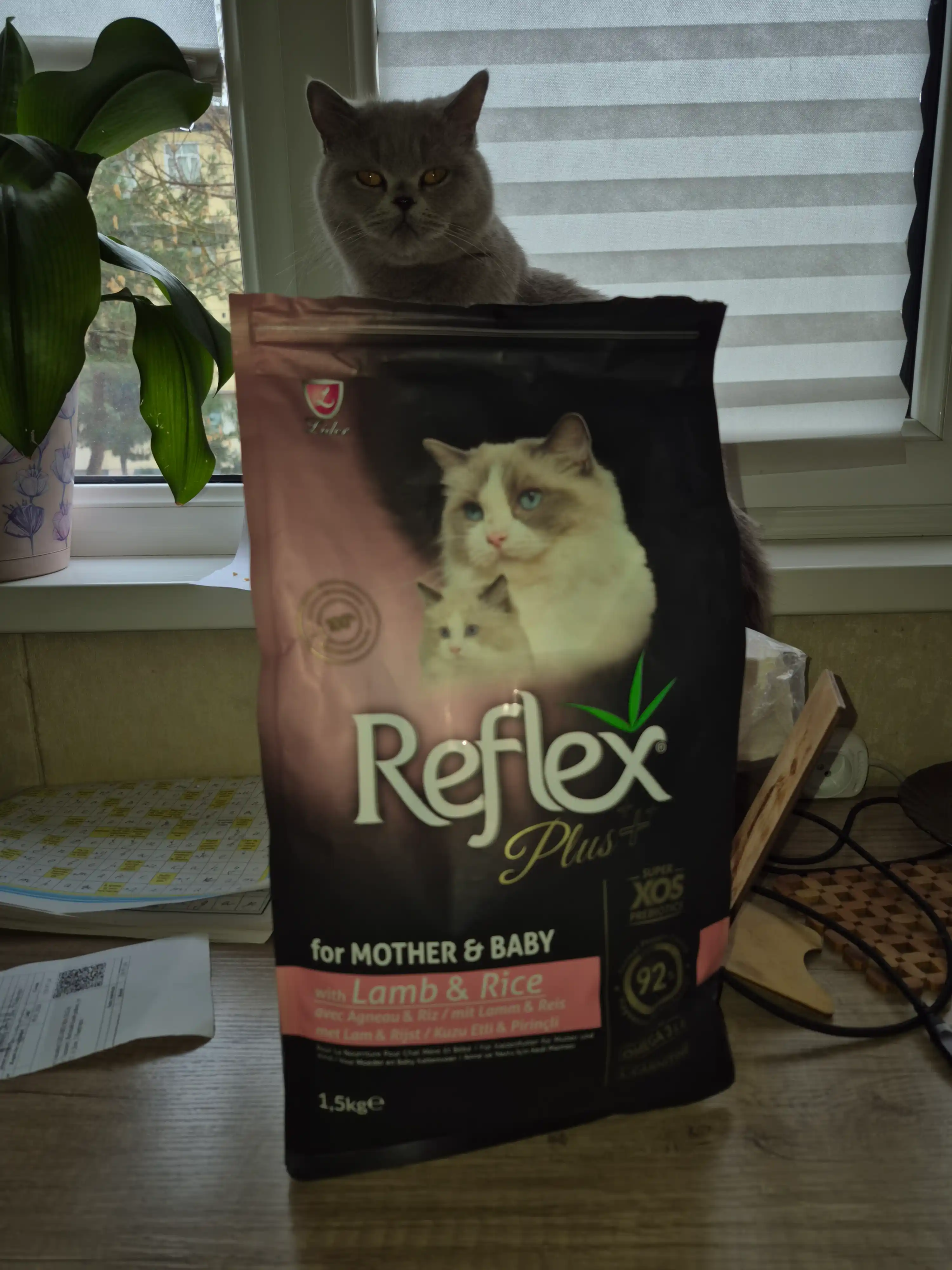 Reflex Plus Mother & Baby, сухой корм для беременных кошек и котят, с ягненком, 1.5 кг
