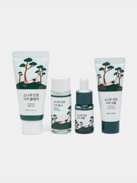 Набор для ухода за кожей Round lab Travel-Friendly mini Skincare kit