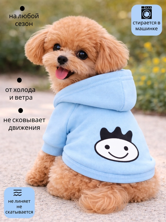 Толстовка для собак мелких пород с капюшоном