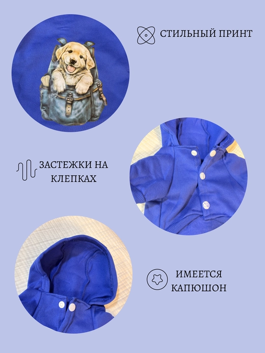 Толстовка для собак мелких пород с капюшоном