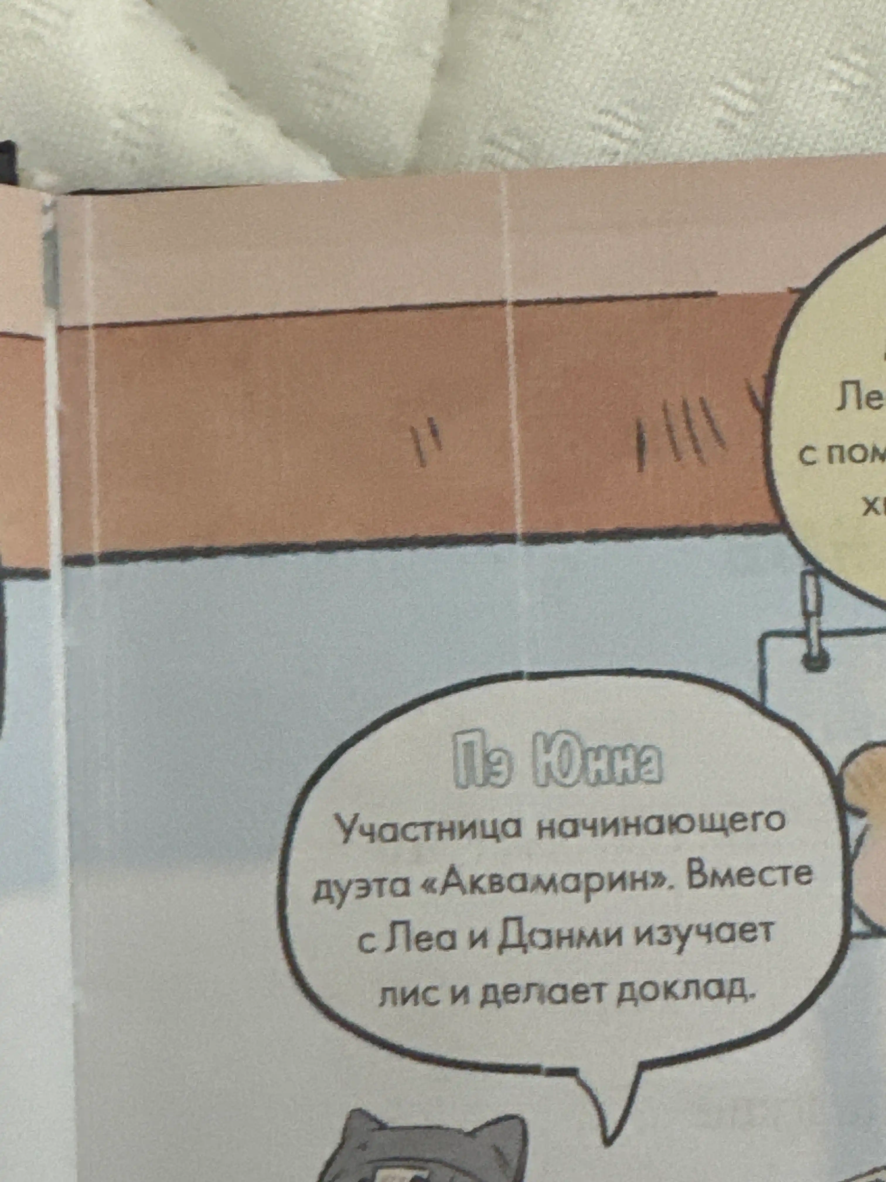 Девочка с лисьим хвостом. Том 6. Сон Вон Пхен