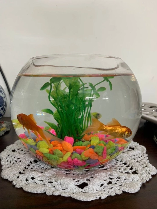Akvarium, manzara va gulzorlarni bezash uchun tosh, rangli toshlar