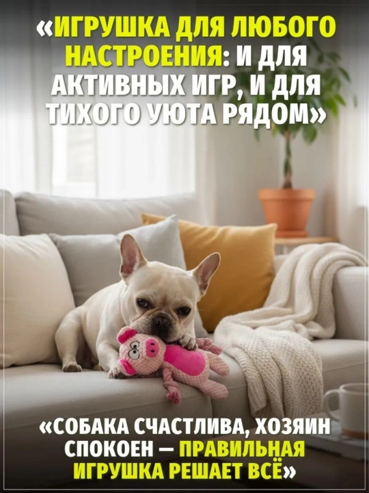 Kichik va o'rta o'lchamdagi itlar uchun mos, uy hayvoni o'yinchog'i