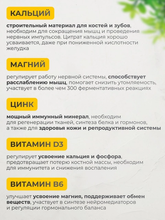 Kalsiy, magniy, sink, D3 + B6 vitamini, VitaMeal, 90 kapsula