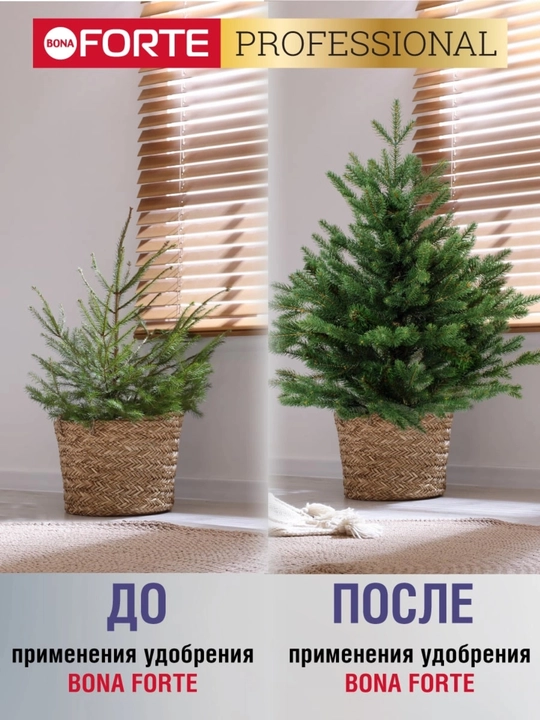 Xvoyli o‘simliklar uchun o‘g‘it Bona Forte  «Salomatlik» seriyasi, 285 ml