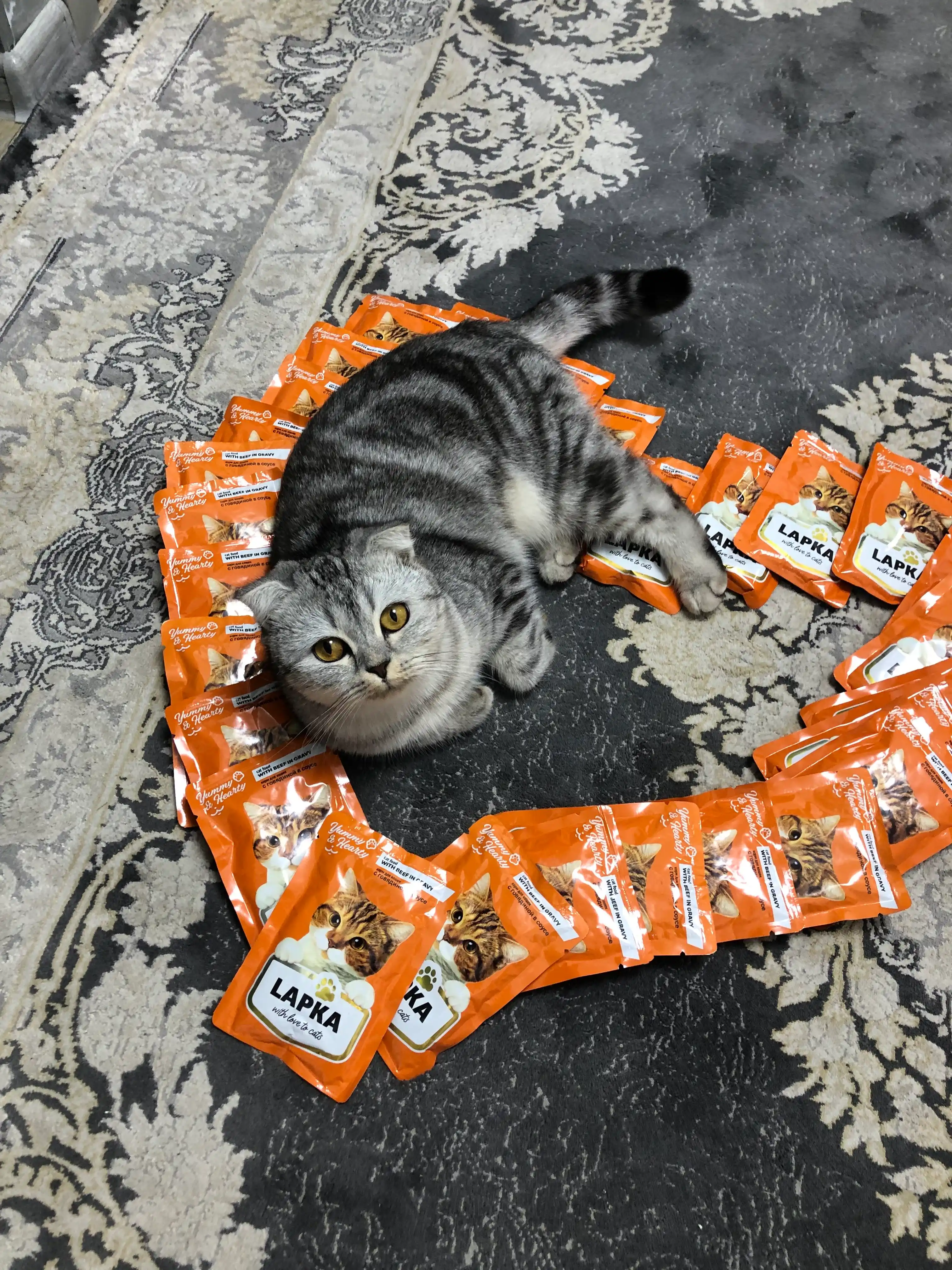 Lapka mushuklar uchun nam yem, sousdagi mol go'shti bilan, 85 gr 28 dona
