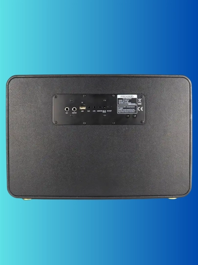 Акустическая система Microlab KTV200PRO ― профессиональные караоке-колонки