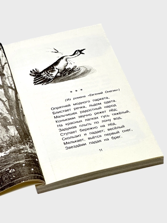 Рассказы стихи и сказки А.С. Пушкин, Уроки Французского В. Распутин, Алые паруса А. Грин
