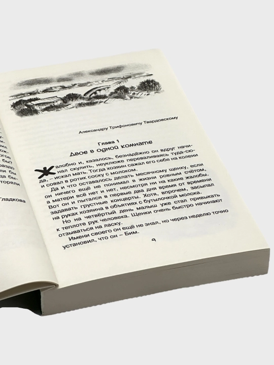 Рассказы стихи и сказки А.С. Пушкин, Уроки Французского В. Распутин, Алые паруса А. Грин