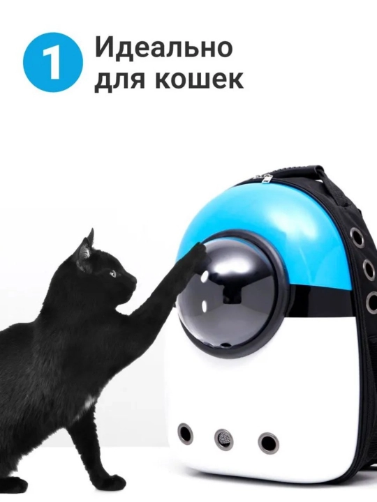 Рюкзак для кошки-собаки, кошачий рюкзак с осветителем, с окном