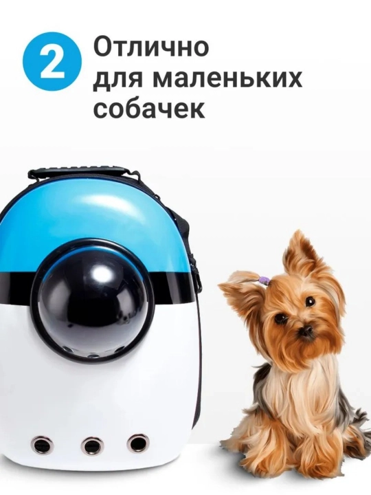 Рюкзак для кошки-собаки, кошачий рюкзак с осветителем, с окном