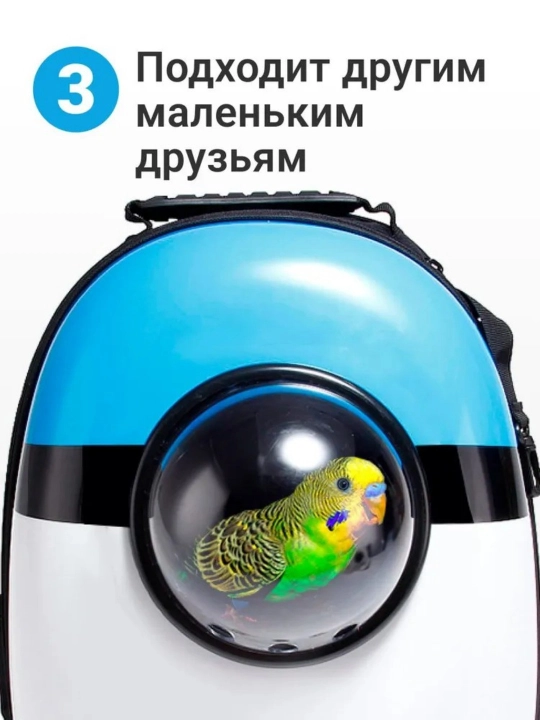 Рюкзак для кошки-собаки, кошачий рюкзак с осветителем, с окном