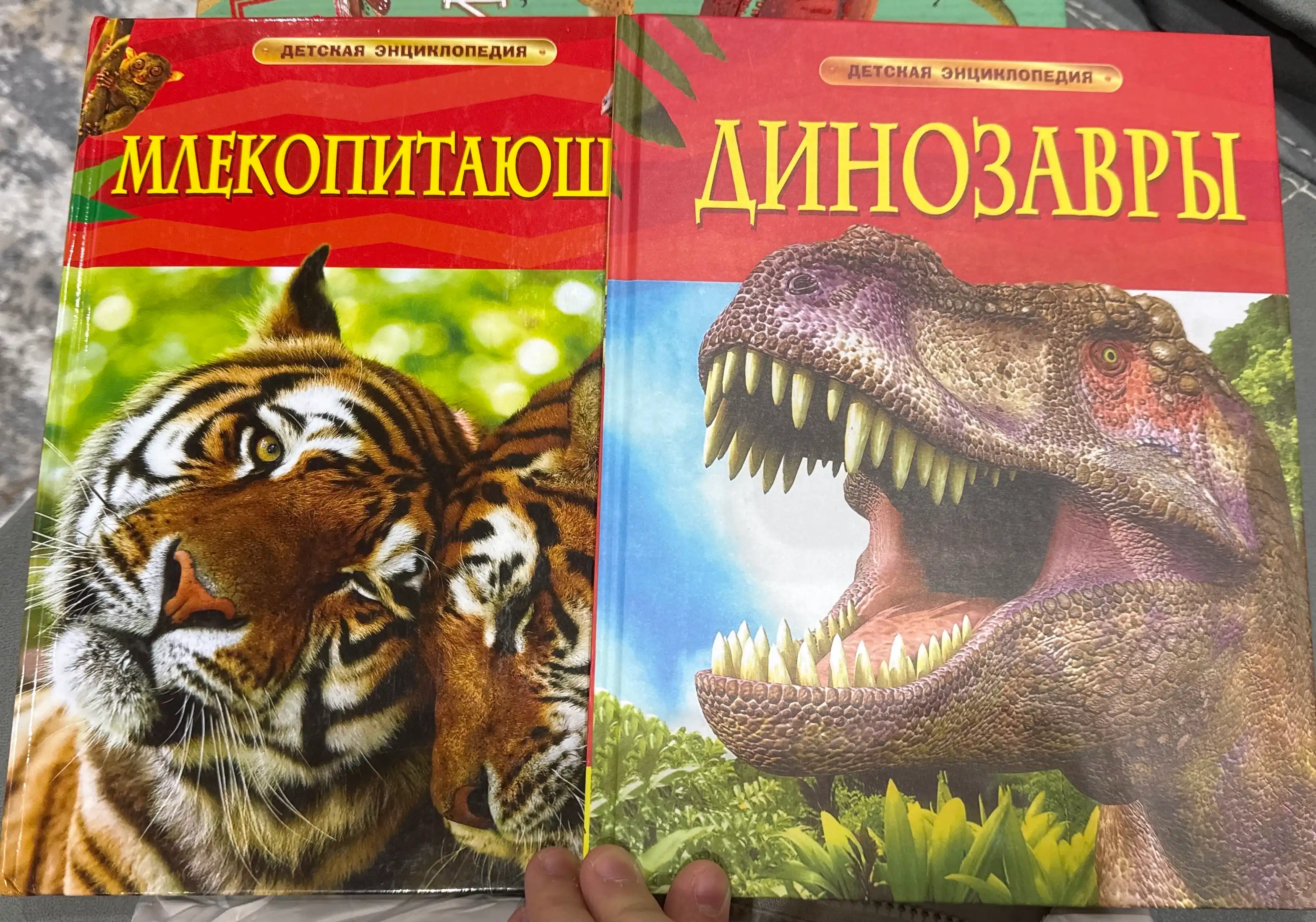 Dinozavri, Reychel Fert