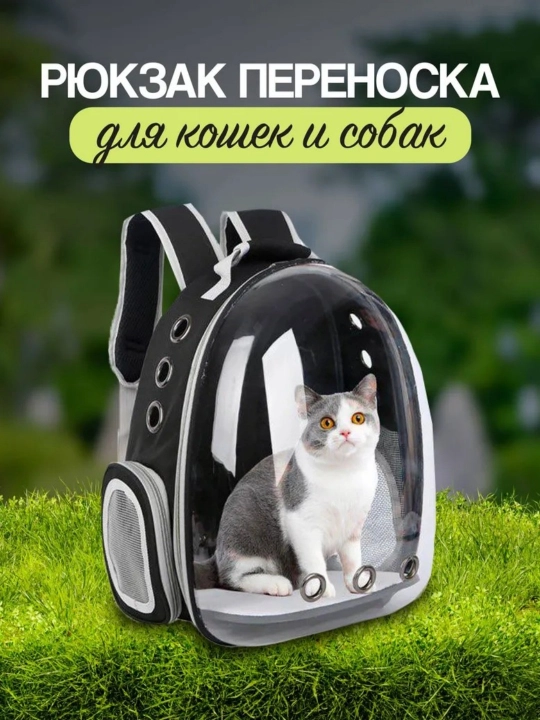 Mushuk va itlar ryukzagi