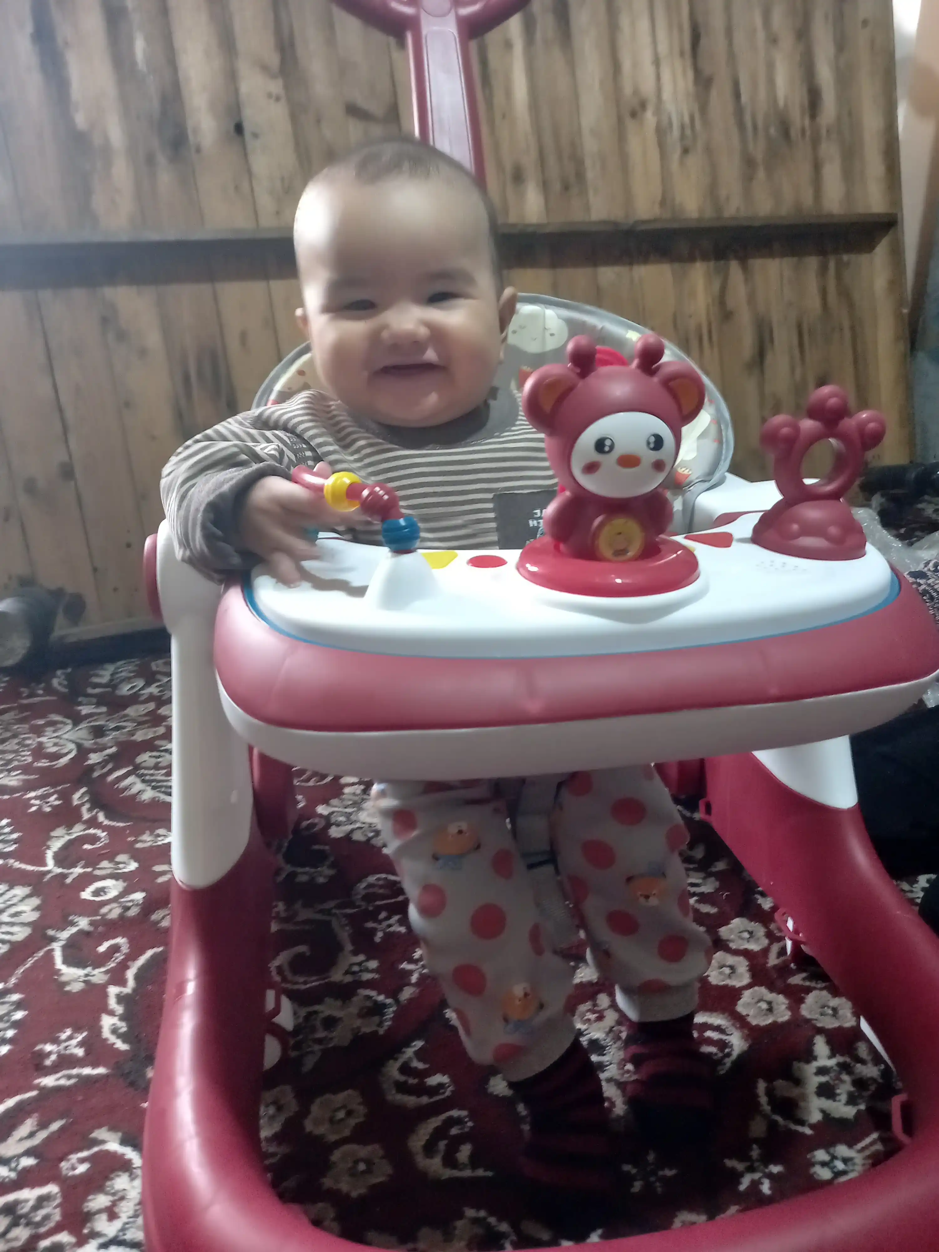 Ходунки детские БАРС, ходунок для детей, 2 в 1, ходунки для детей