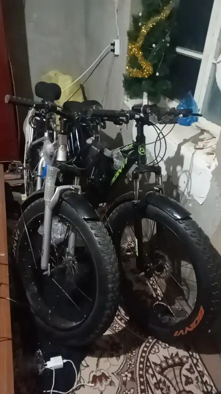 Kattalar uchun, 26, 4.0 tezlikka moslashgan, tog' velosipedi, BONVI 1847 ID:5720
