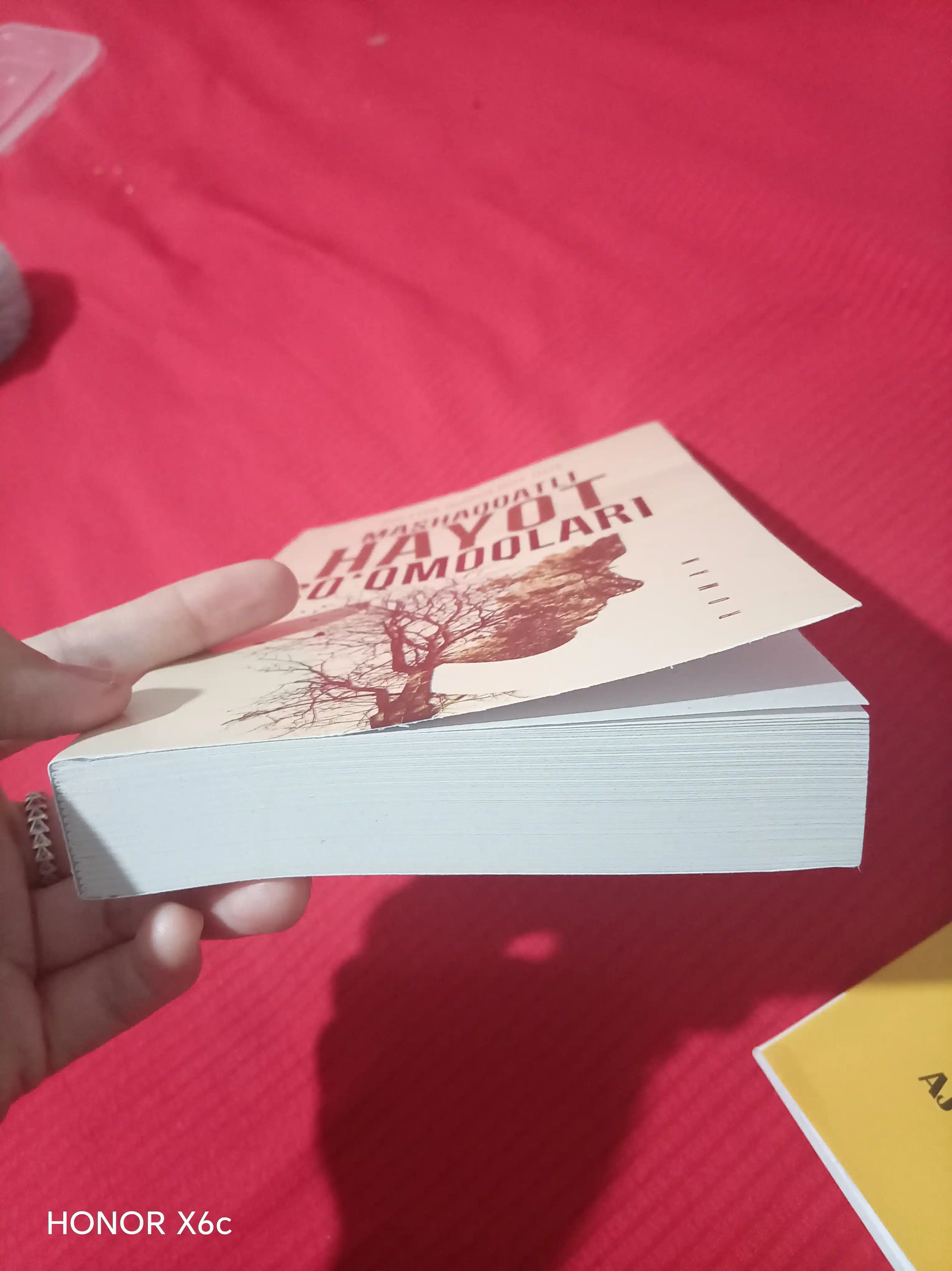 Mashaqqatli hayot soqmoqlari, Zulfiya Qurolboy qizi