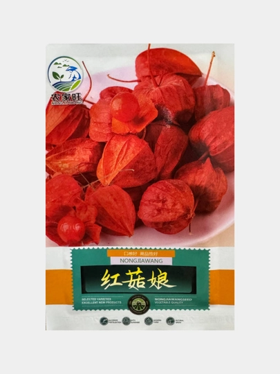 Физалис Франше (Physalis franchetii, alkekengi) Фонарики — KALICOM-ФИЗАЛИС
