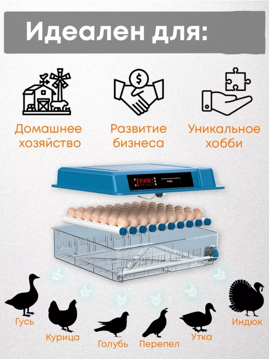 Инкубатор для яиц на 9/12/24/36/64/100/128/200, работает от 12В и 220В