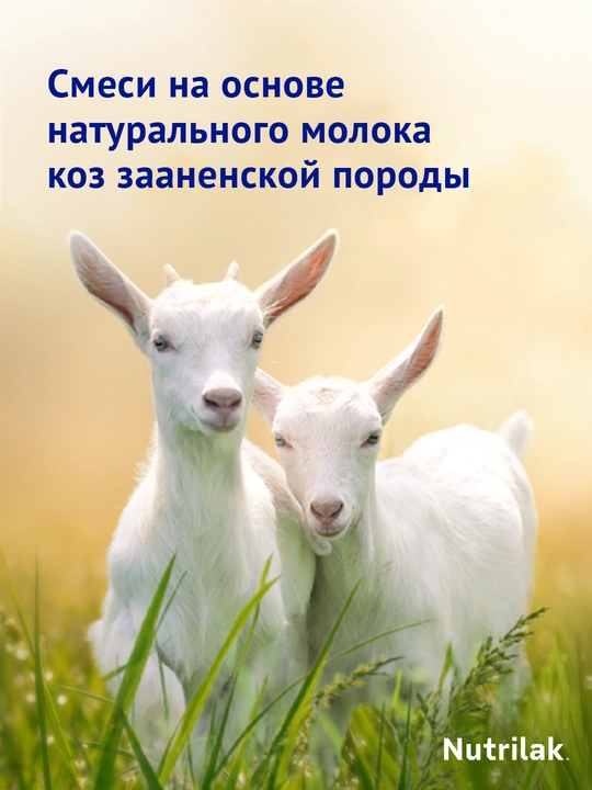 Quruq sutli ichimlik Nutrilak Premium 3, echki sutidan, 600 g