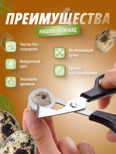 Ножницы для перепелиных яиц — быстрый срез без скорлупы и потерь