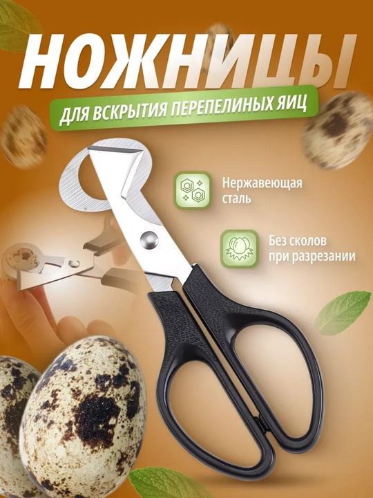 Ножницы для перепелиных яиц — быстрый срез без скорлупы и потерь