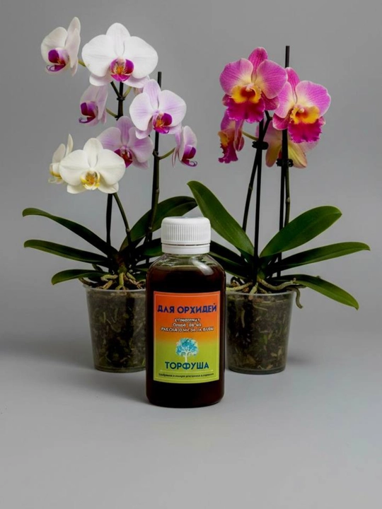 Orxideyalar uchun organo-mineral o‘g‘it