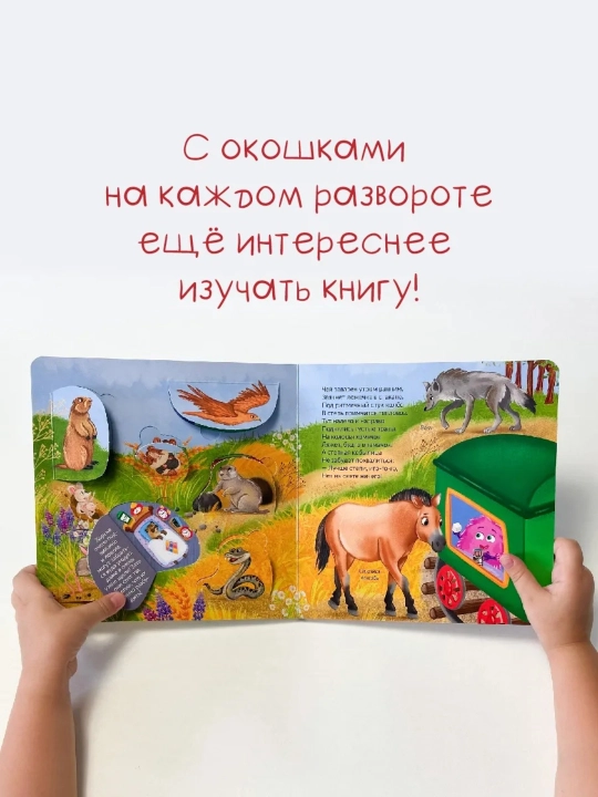 Интерактивные картонные книги с окошками, 19×19 см, 12 страниц, 2+, БимБиМон