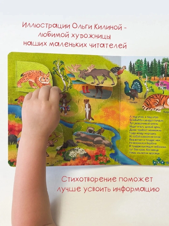Интерактивные картонные книги с окошками, 19×19 см, 12 страниц, 2+, БимБиМон