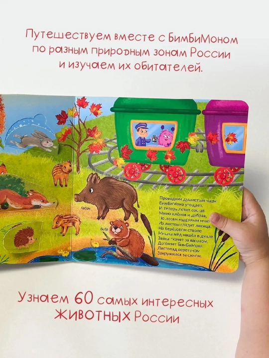 Интерактивные картонные книги с окошками, 19×19 см, 12 страниц, 2+, БимБиМон