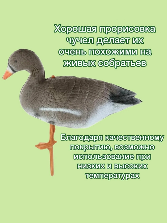 Чучело Охота на белолобых гусей XPE