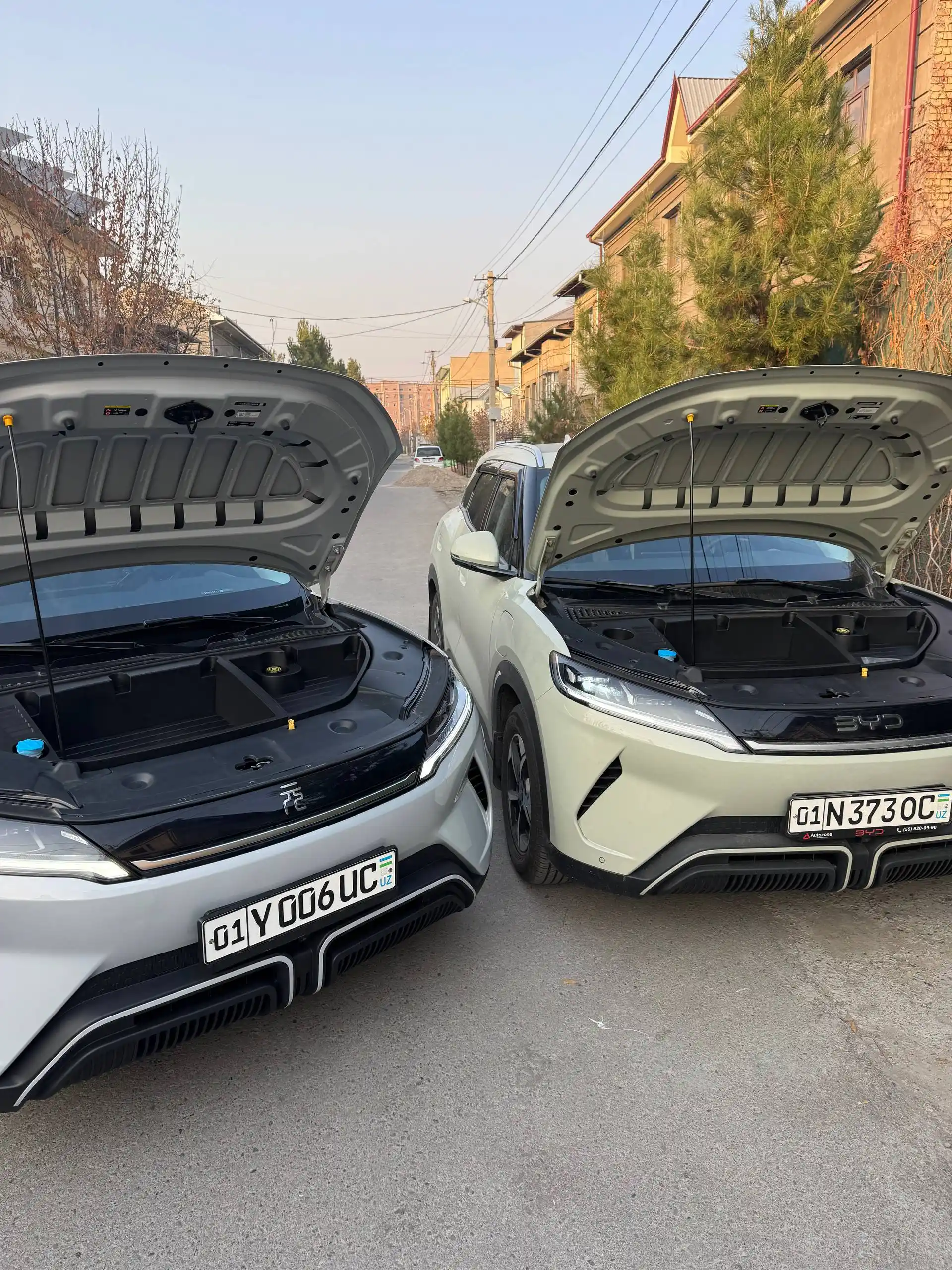 BYD Yuan Up uchun kapot osti organayzeri, Bagaj kapot uchun - mustahkam material