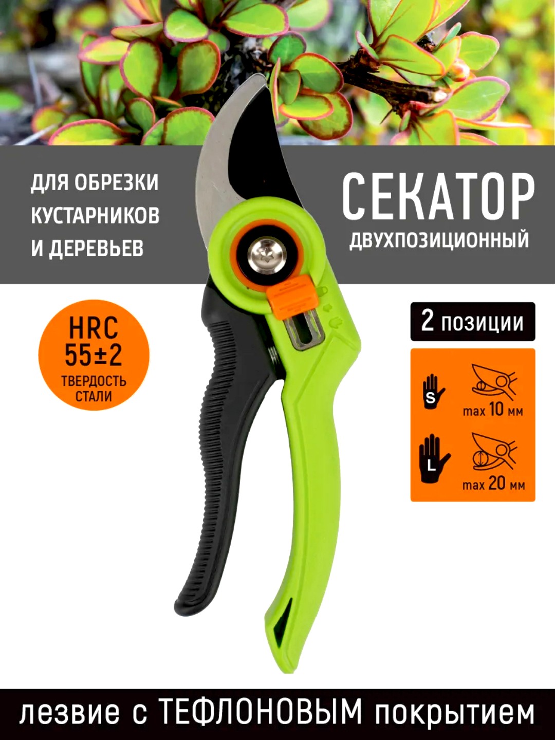Белый