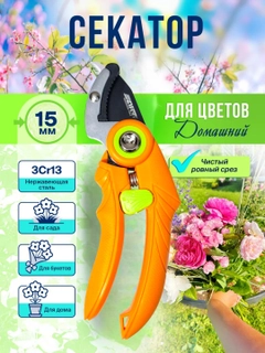 Красный