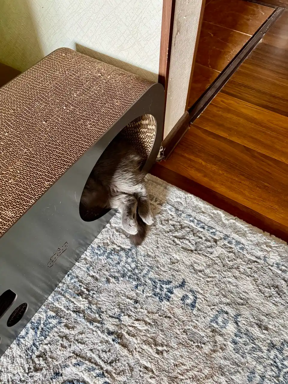 Karton tirnash ustuni 3 tasii 1 da Home Qora KinderCat , mushuklar uchun