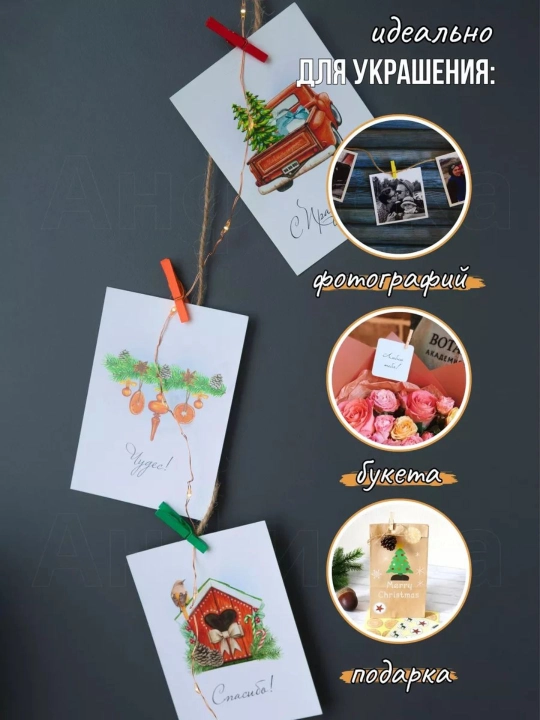 Dekorativ qisqich, kichik qisqichlar, fotosurat uchun qisqichlar