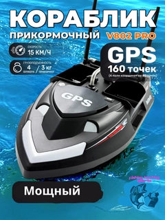 Qora