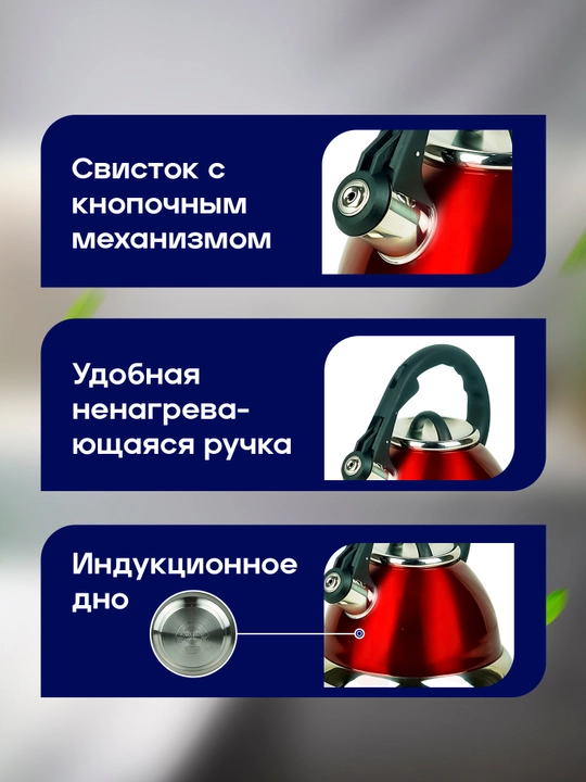 Чайник со свистком от Zepter, для всех видов плит, 3.2 л