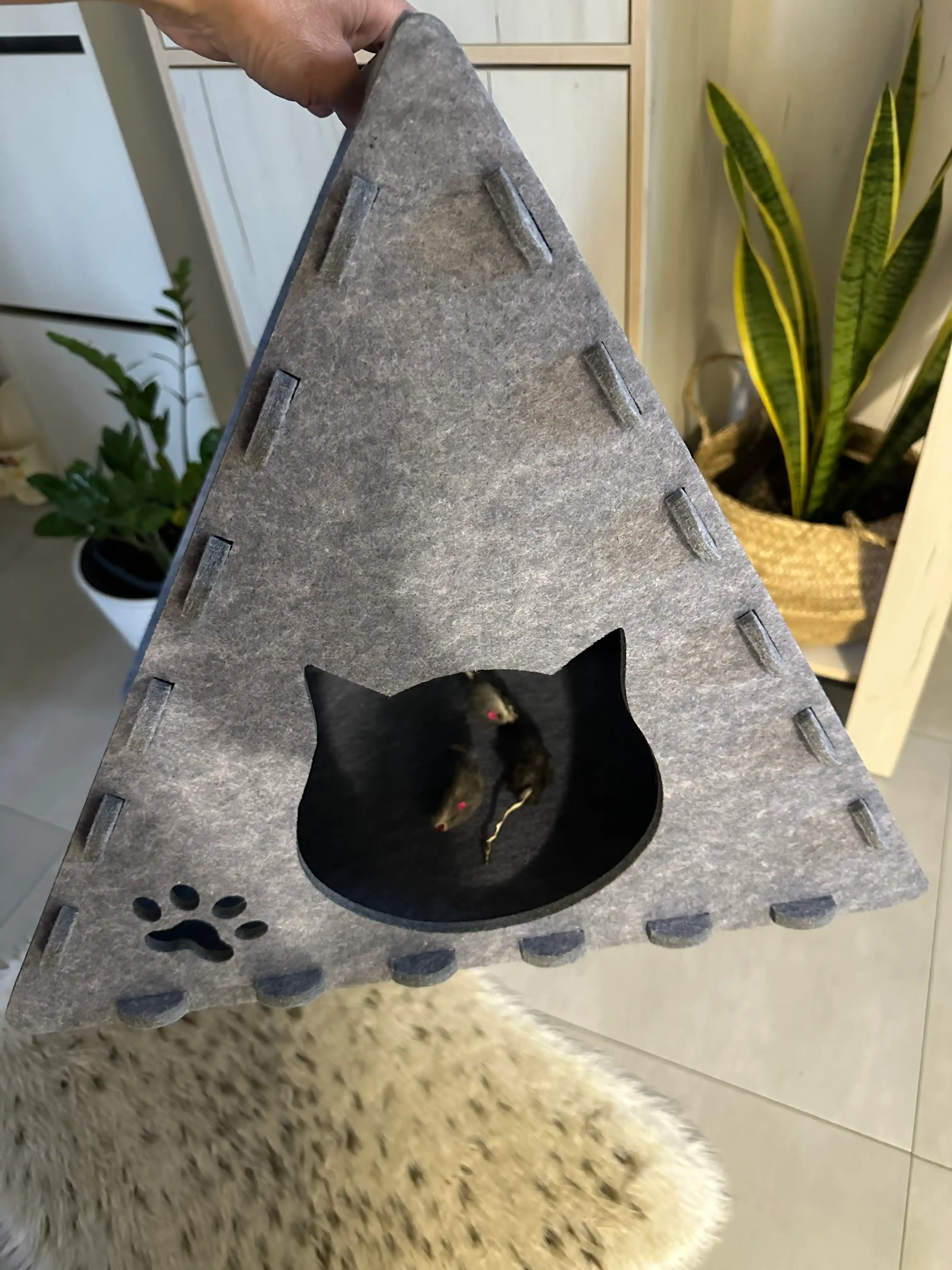 Кошачий дом